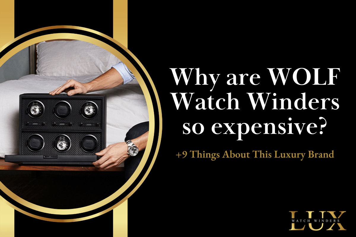 Why are Wolf Watch Winders So Expensive + 9 Things About This Luxury B