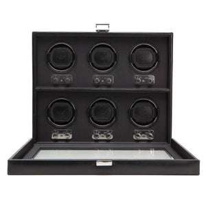 Luxury Display and Organization for Your Collection