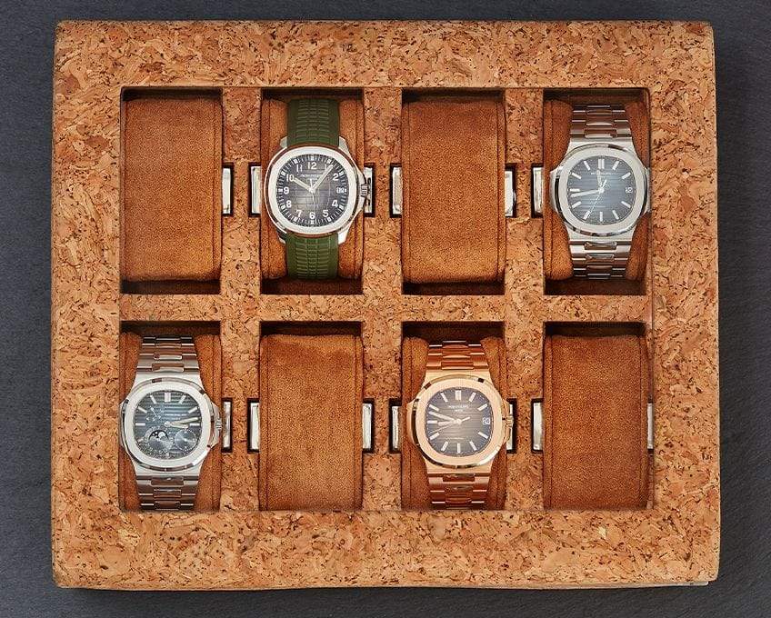 Wolf box watch sale