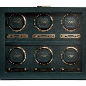 WOLF British Racing Green 6 Piece Watch Winder